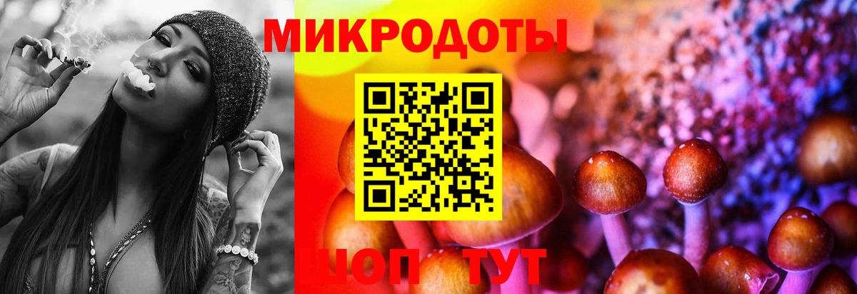 Псилоцибиновые грибы Magic Shrooms Каменка
