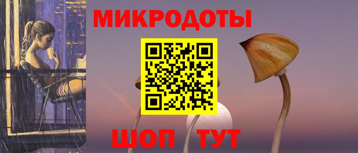 Псилоцибиновые грибы Cubensis  Вход с VPN  Каменка 